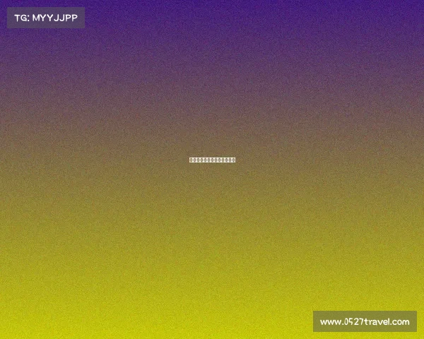 电子竞技在中国文章中的应用