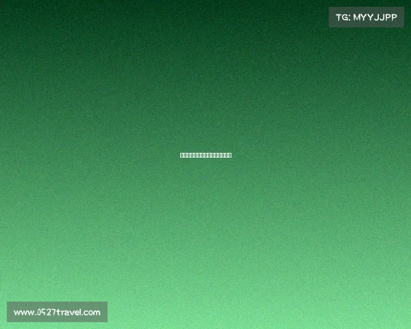 《揭秘顶尖电竞战队的王者法则》